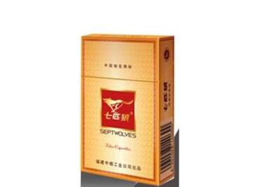 燃气外烟管有多长啊