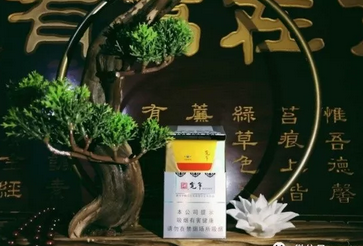 大集香烟在哪批发好卖